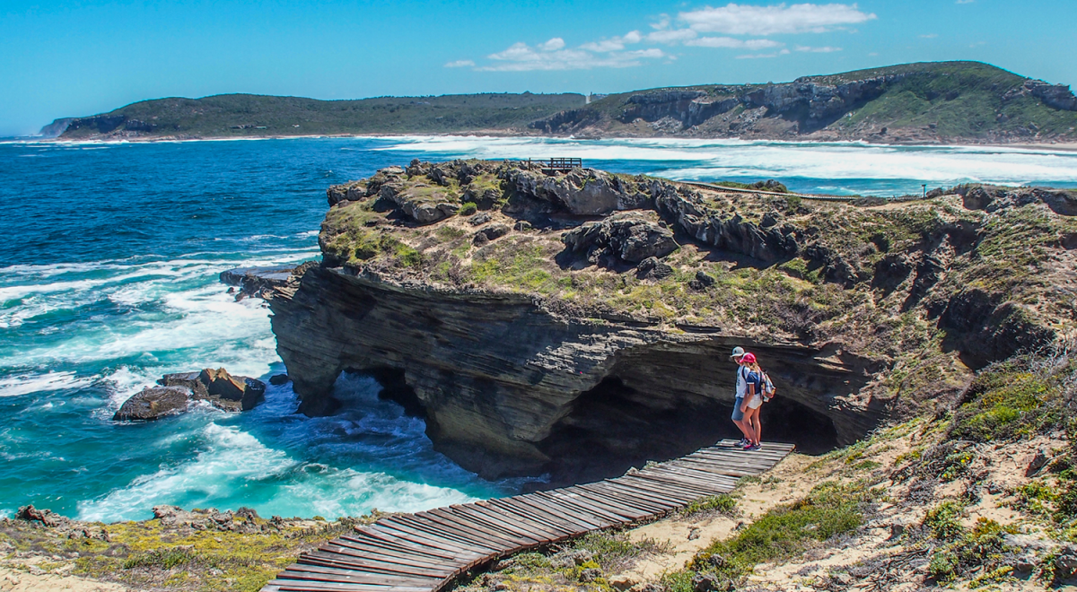 Taking a road trip along the glorious Garden Route Flight Centre
